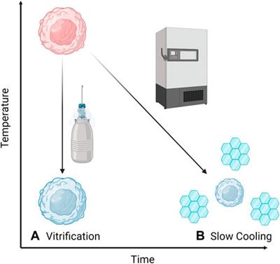 Applying soft matter techniques to solve challenges in cryopreservation